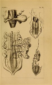 n914_w1150