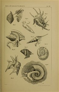 n1170_w1150