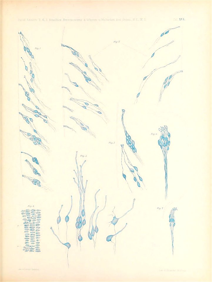 n190_w1150