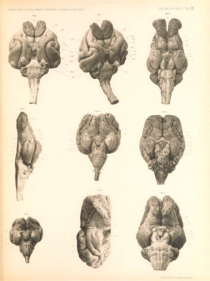 n174_w1150