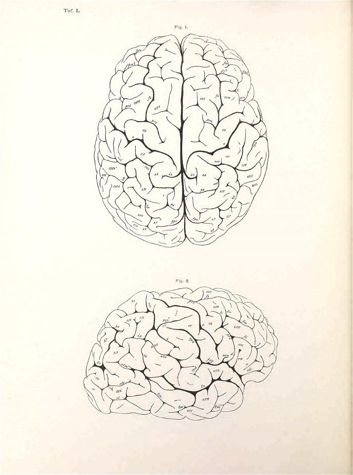 n137_w1150