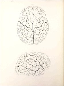 n137_w1150