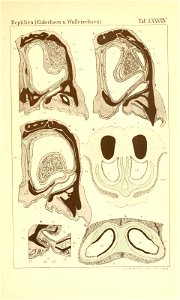 n1148_w1150
