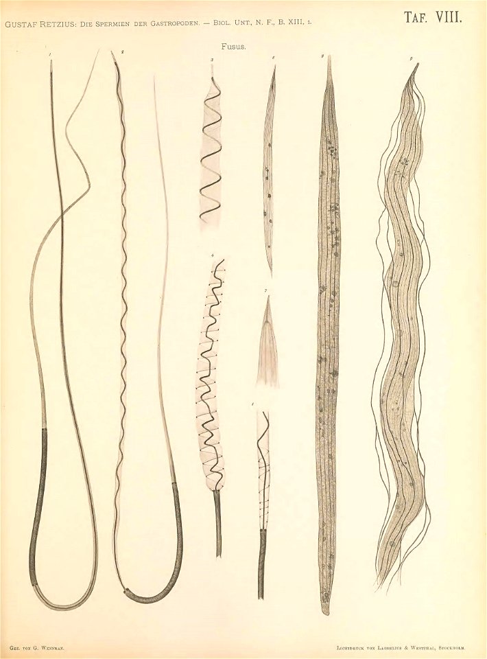 n198_w1150