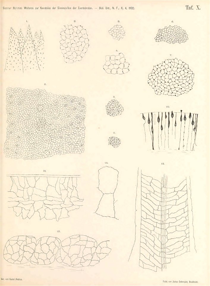 n122_w1150