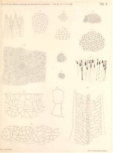 n122_w1150