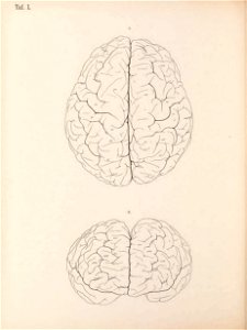 n85_w1150