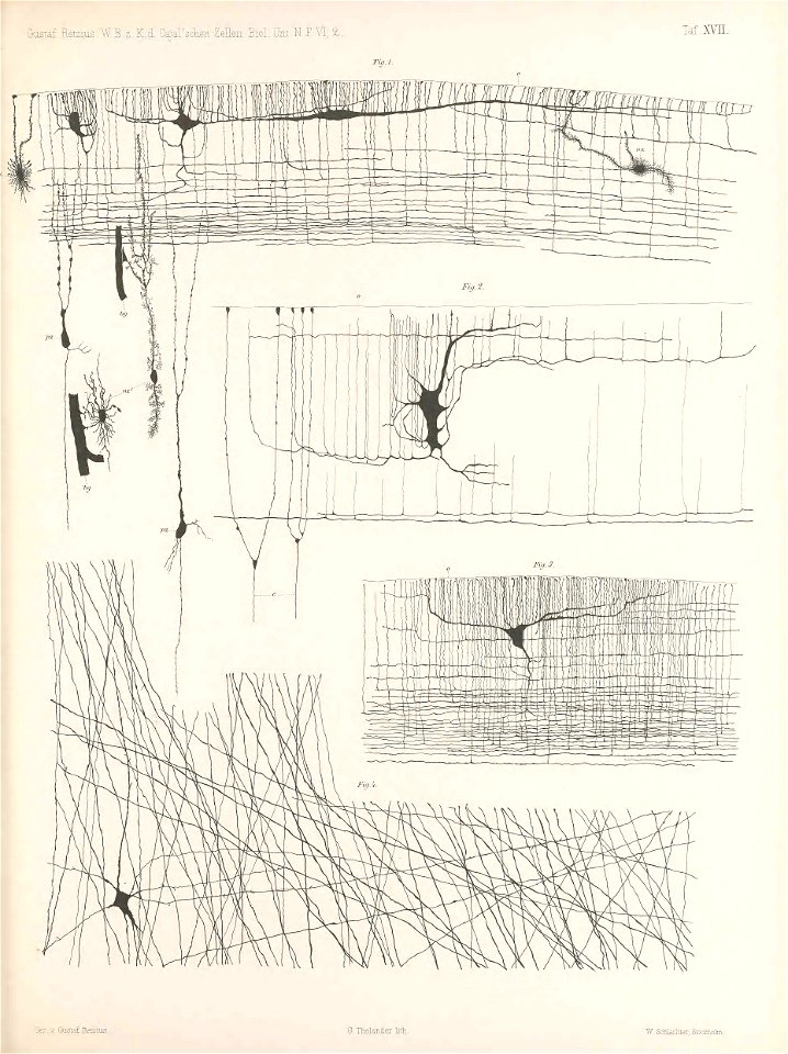 n166_w1150