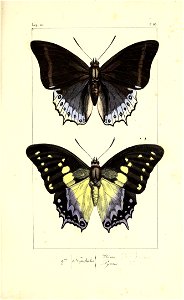 n252_w1150