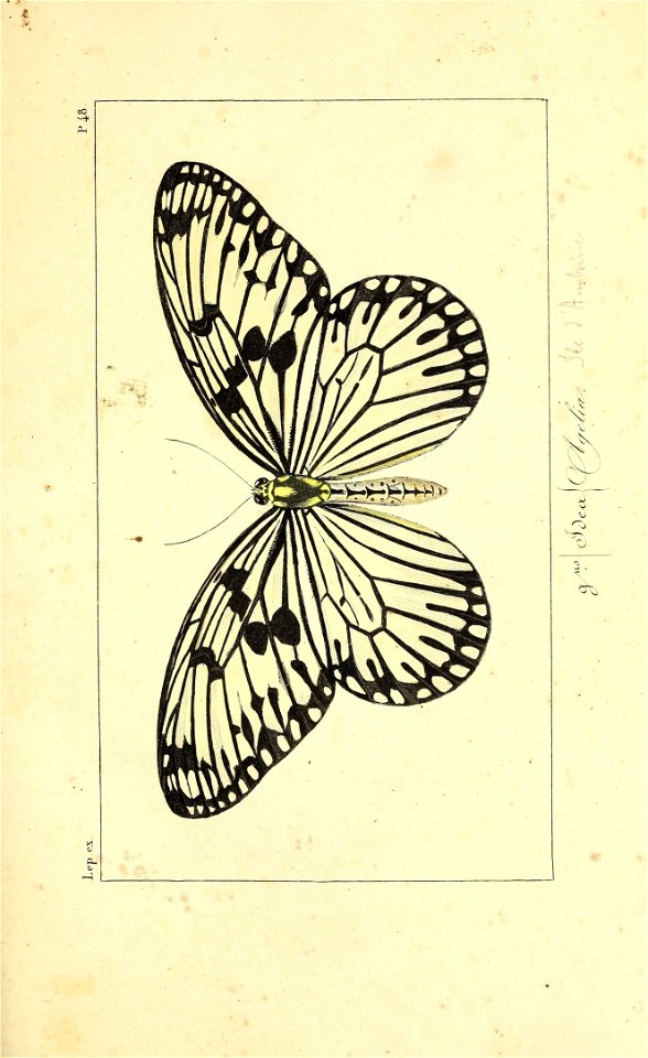 n198_w1150