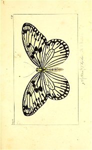 n198_w1150