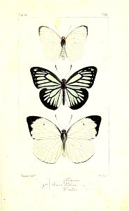 n144_w1150