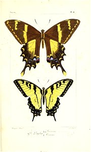 n82_w1150