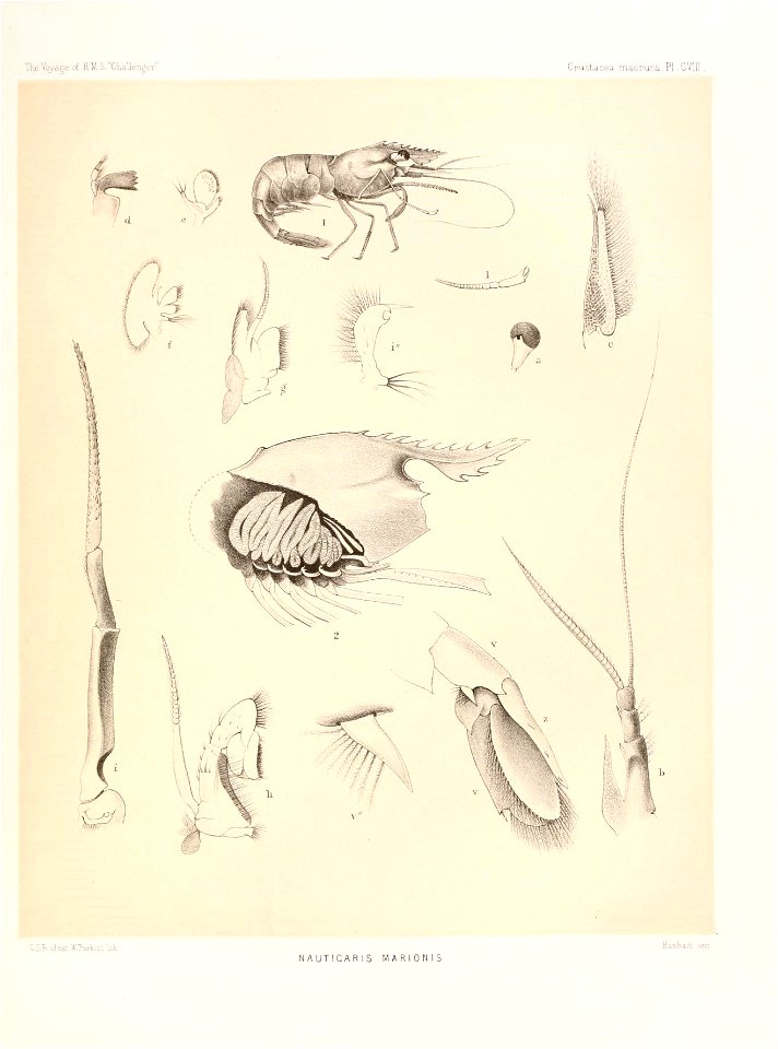 n466_w1150