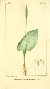 n222_w1150