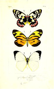 n134_w1150