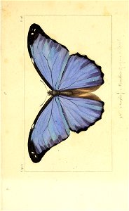 n302_w1150