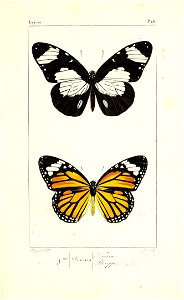 n194_w1150