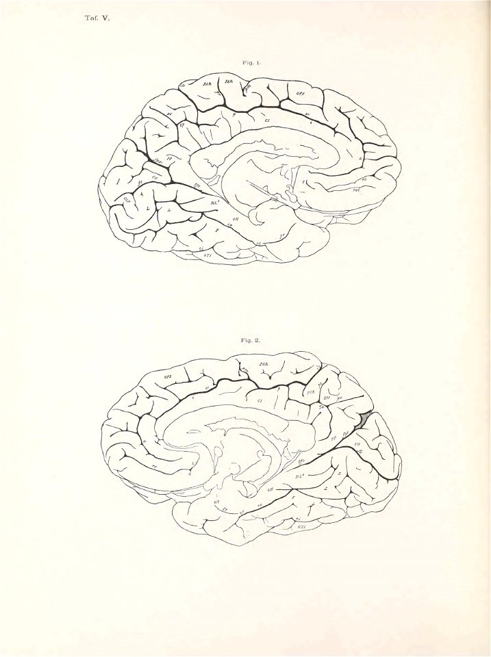 n153_w1150