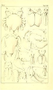 n1078_w1150