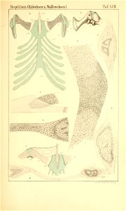 n1000_w1150