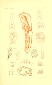 n560_w1150