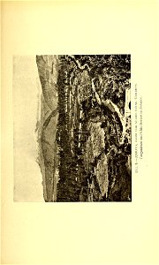 n204_w1150