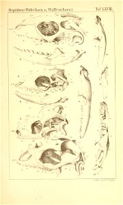n1044_w1150