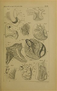 n1298_w1150