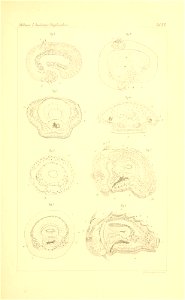 n548_w1150