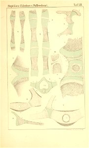n980_w1150