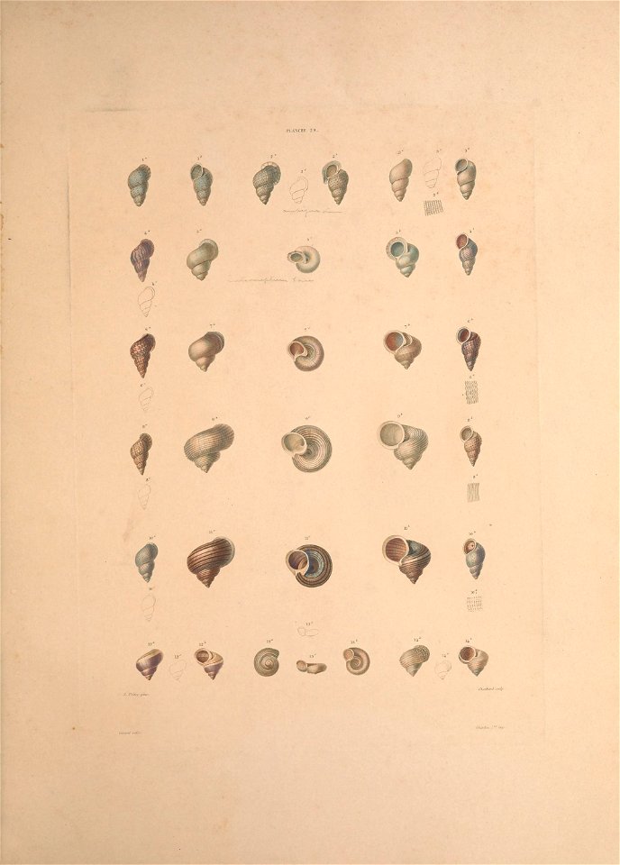 n164_w1150
