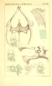 n1028_w1150