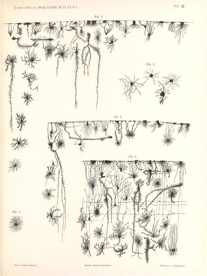 n106_w1150