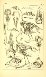 n1040_w1150