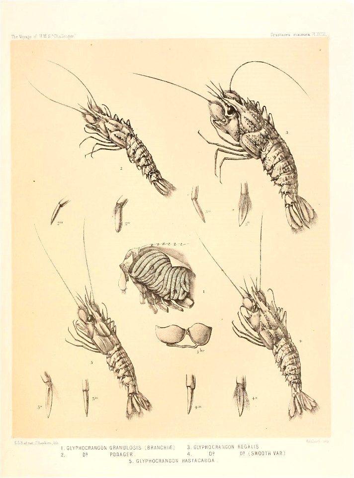 n406_w1150