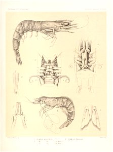 n168_w1150
