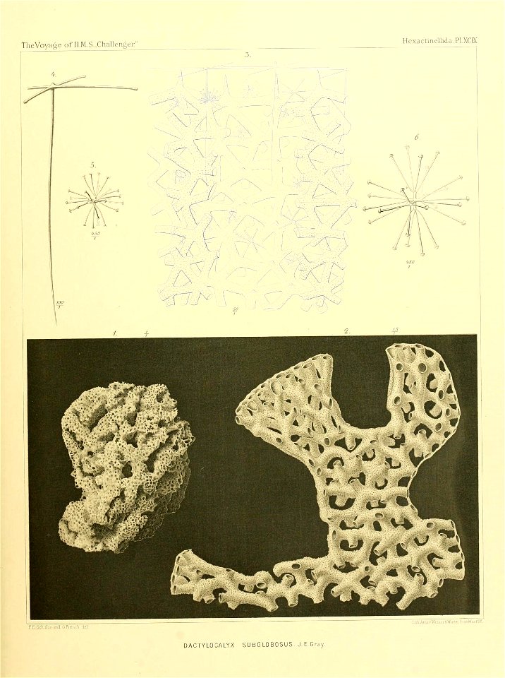 n406_w1150