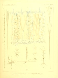 n346_w1150