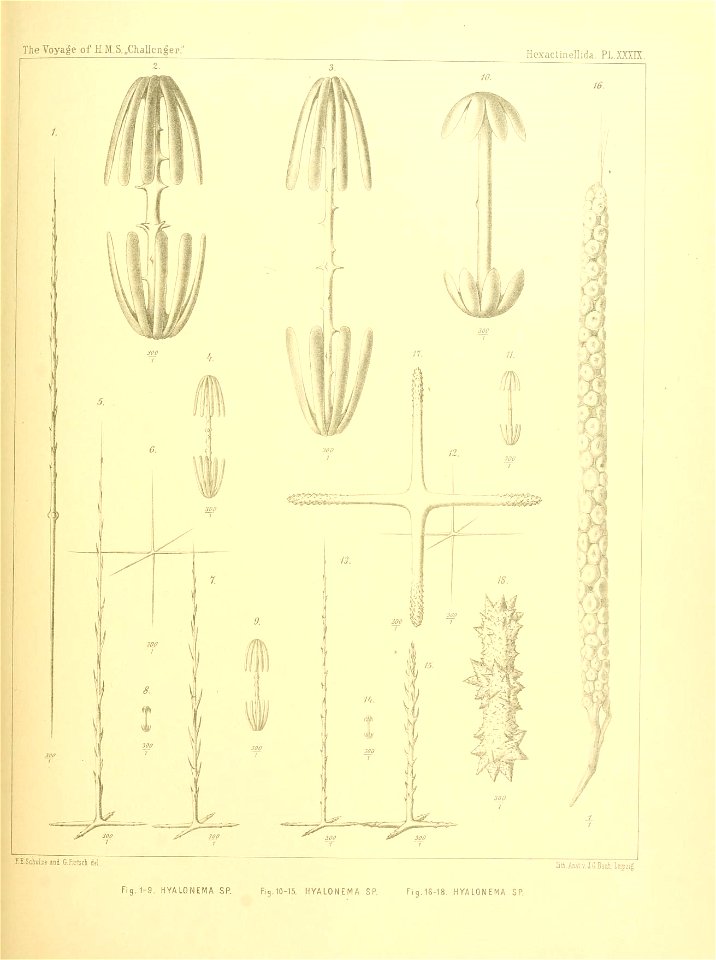 n166_w1150