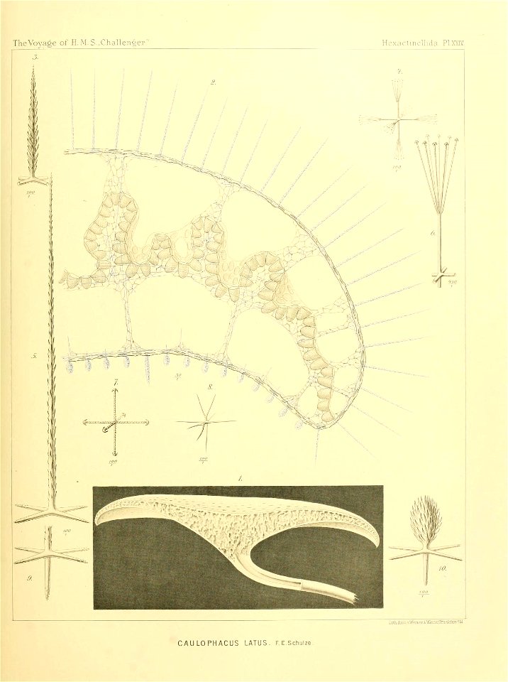 n106_w1150