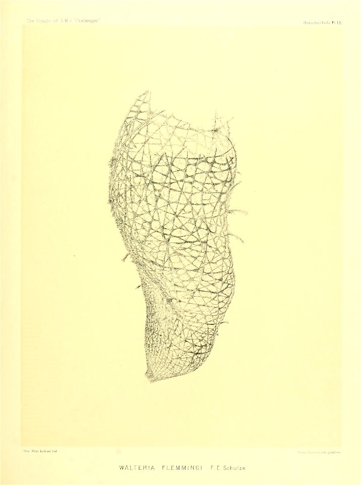 n46_w1150