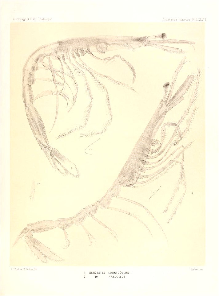 n342_w1150