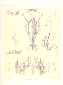 n104_w1150