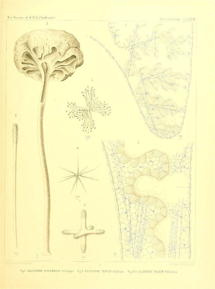 n282_w1150