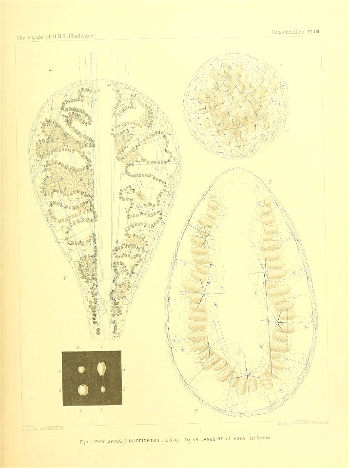 n222_w1150