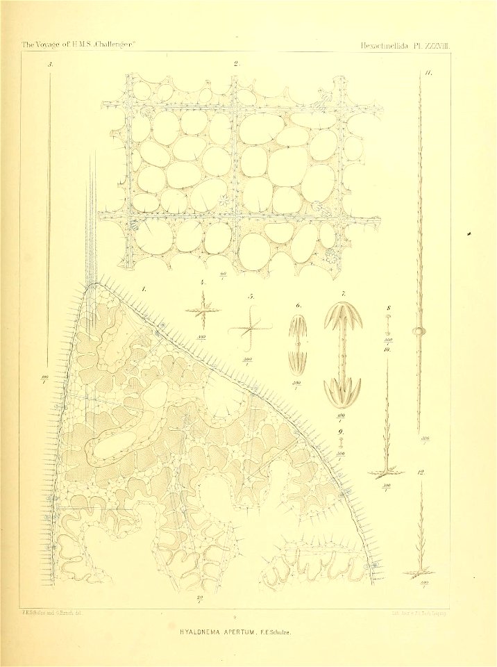n162_w1150
