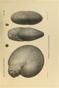 n522_w1150