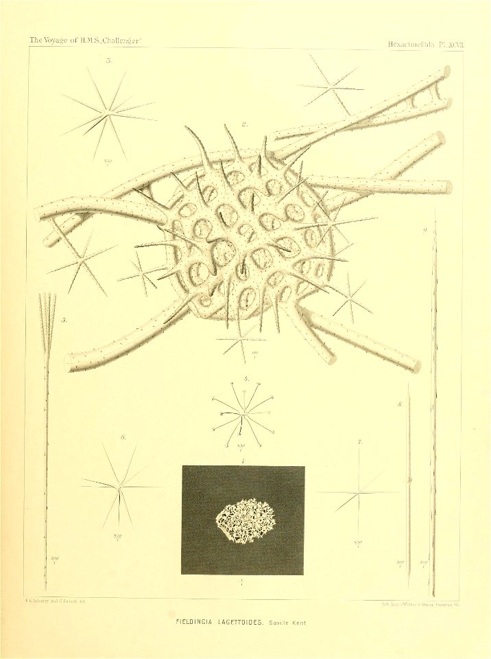 n398_w1150
