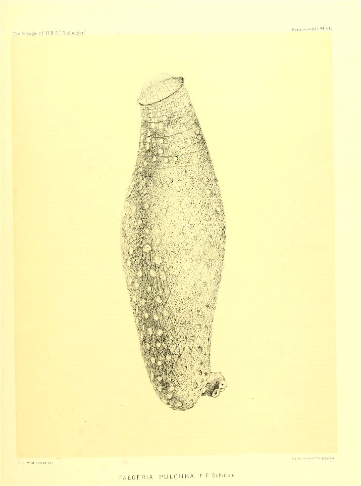 n38_w1150